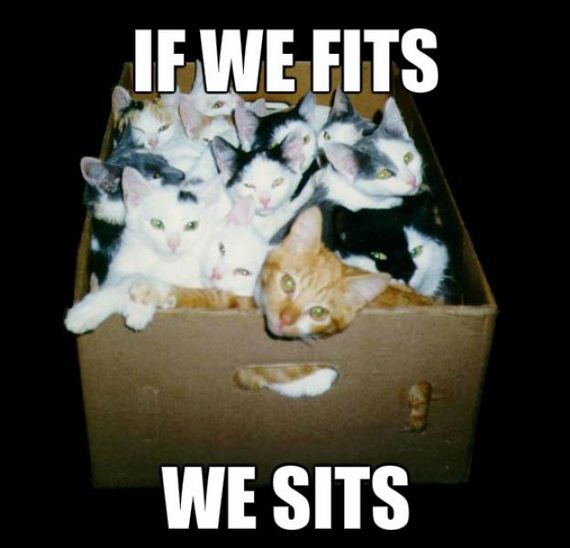 funny-pictures-477