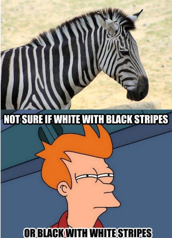 funny-pictures-477