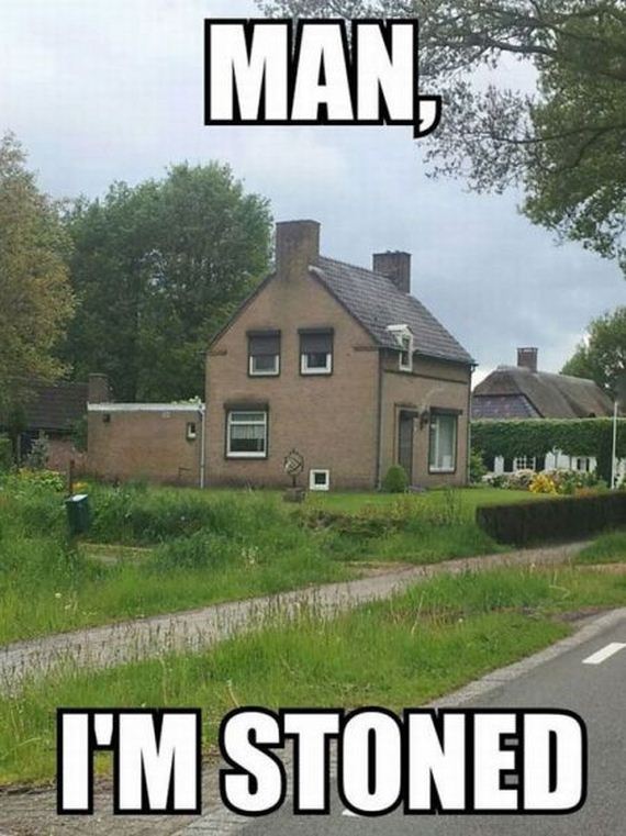 funny-pictures-477