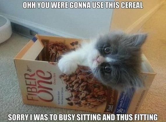 funny-pictures-478