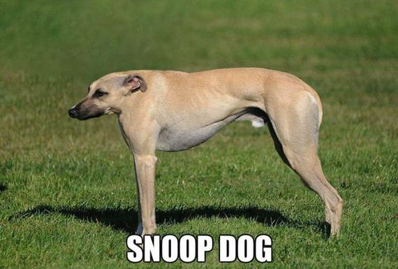 funny-pictures-479
