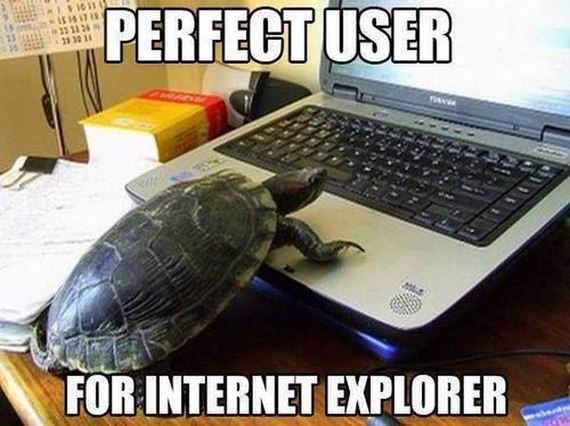 funny-pictures-479