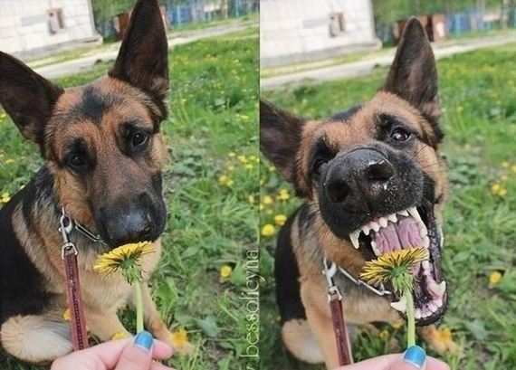 funny-pictures-479