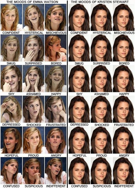funny-pictures-480