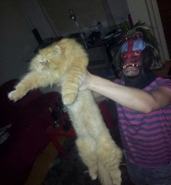 funny-pictures-480