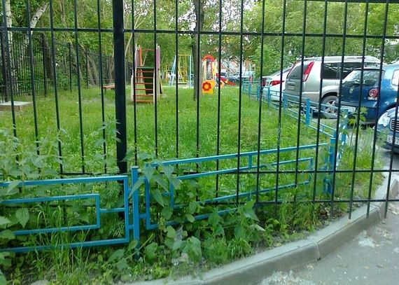 funny-pictures-480