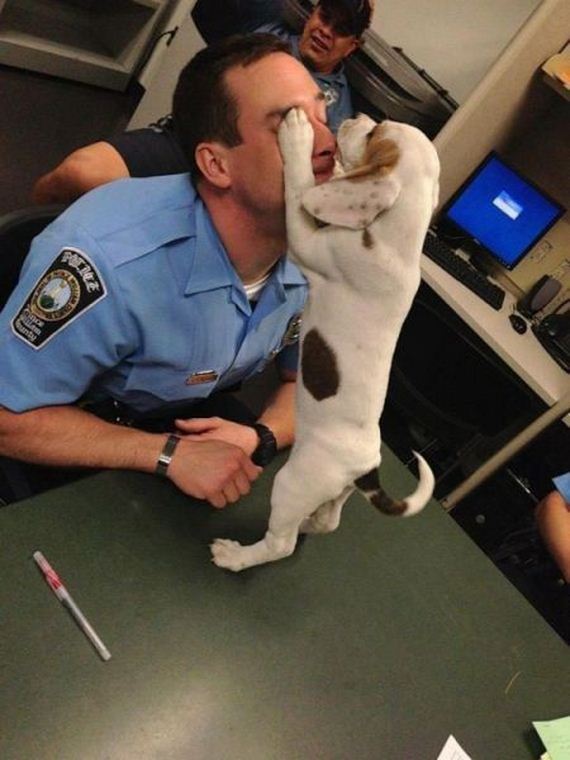 funny-pictures-480