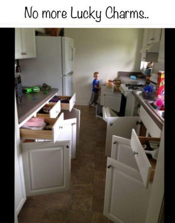 funny-pictures-480