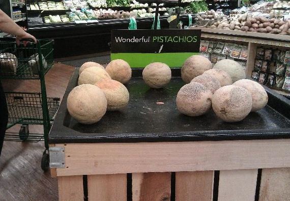 funny-pictures-480