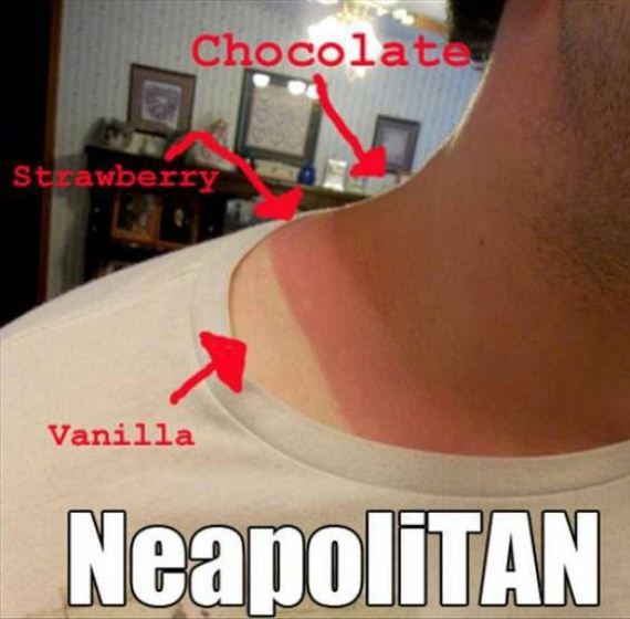 funny-pictures-480