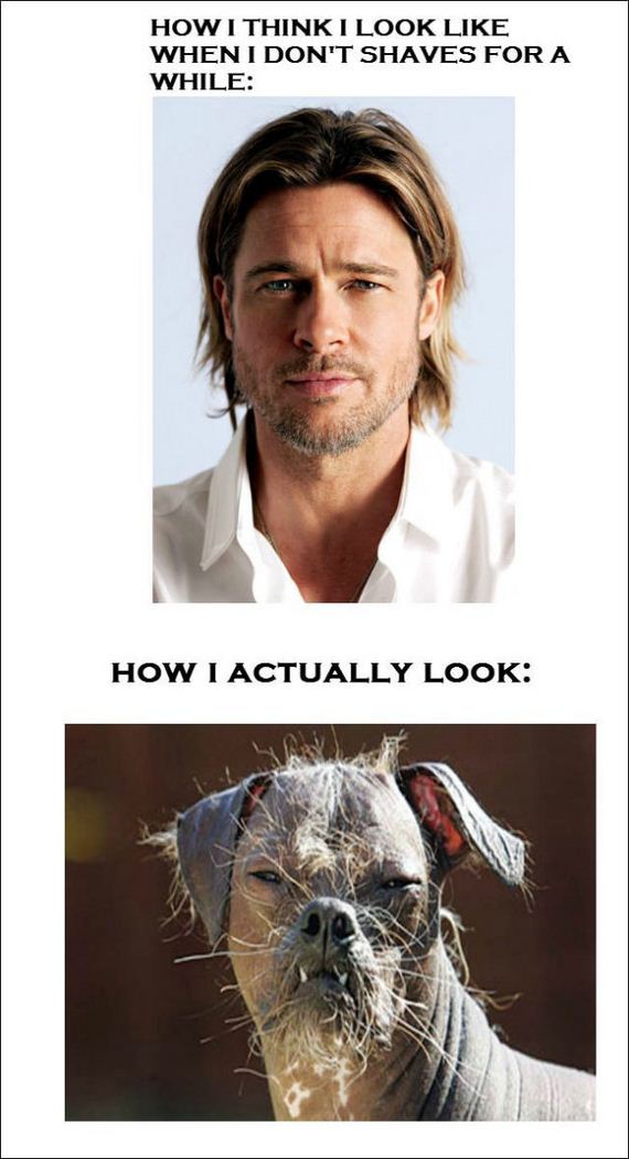 funny-pictures-480