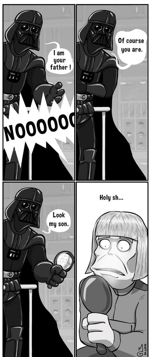 funny-pictures-480