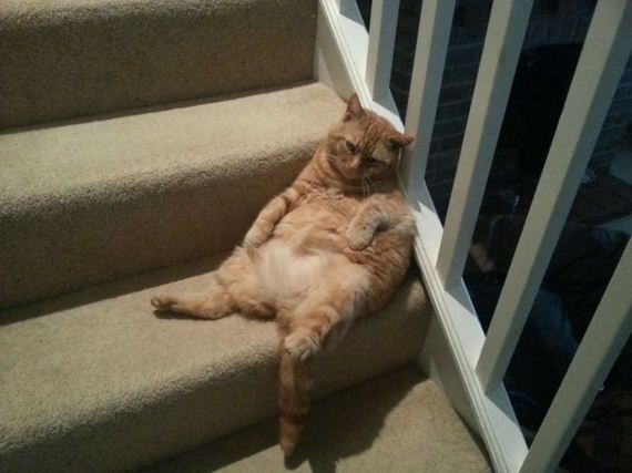 funny-pictures-481