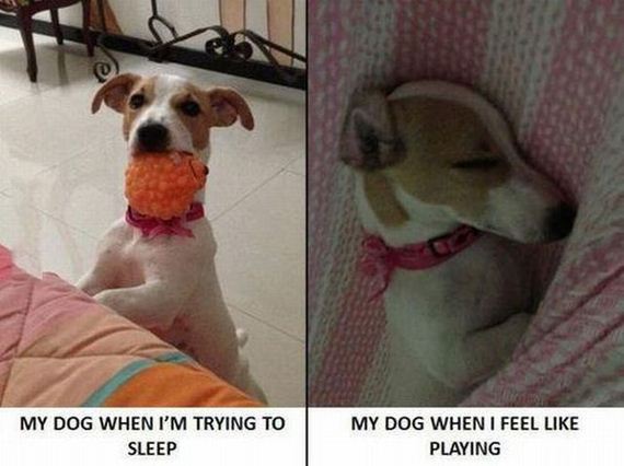 funny-pictures-481