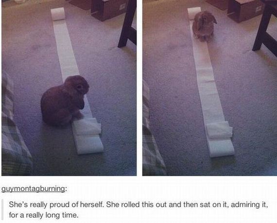 funny-pictures-481