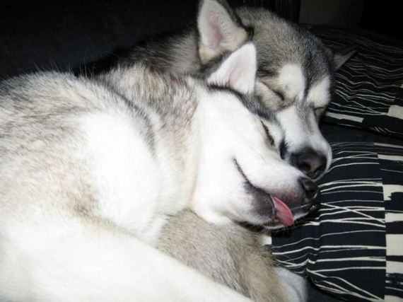 funny-pictures-481