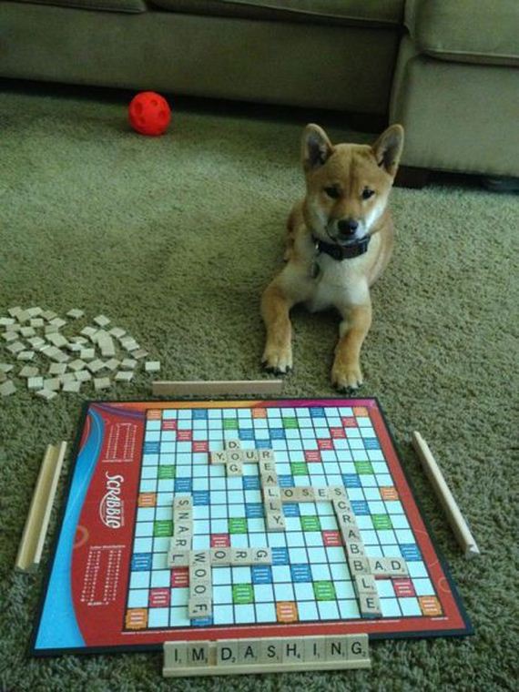funny-pictures-481