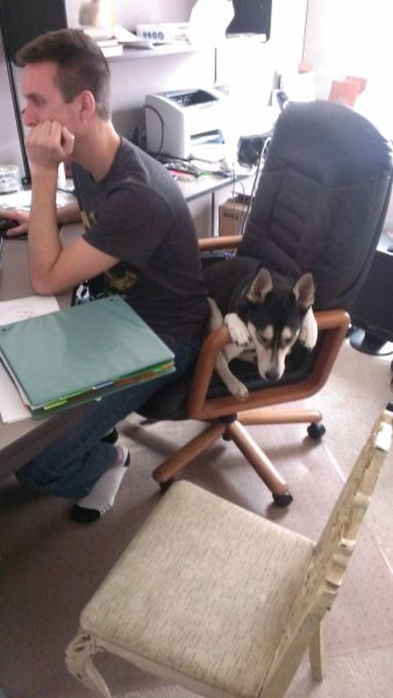 funny-pictures-481