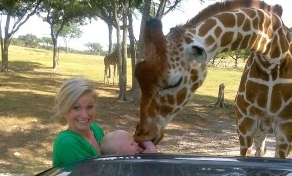 funny-pictures-482