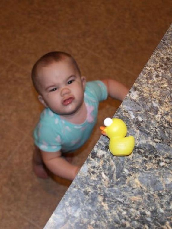 funny-pictures-482