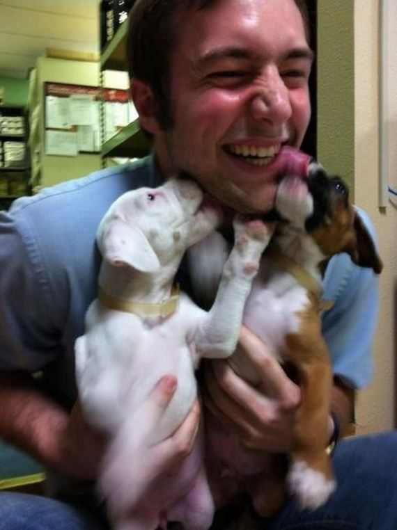 funny-pictures-482