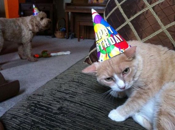 funny-pictures-484