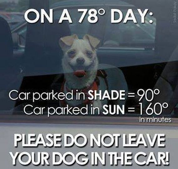 funny-pictures-484