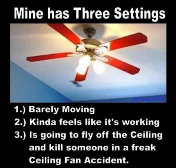 funny-pictures-484