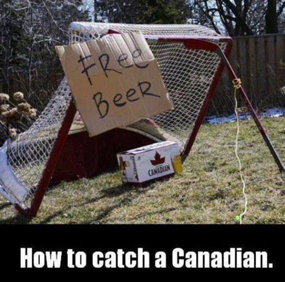 funny-pictures-484