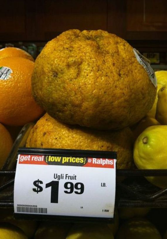 funny-pictures-484