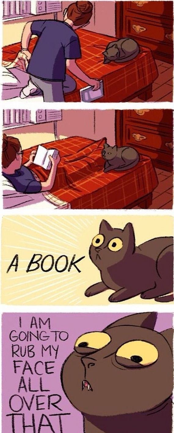 funny-pictures-484