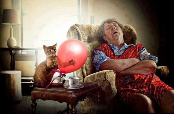 funny-pictures-485