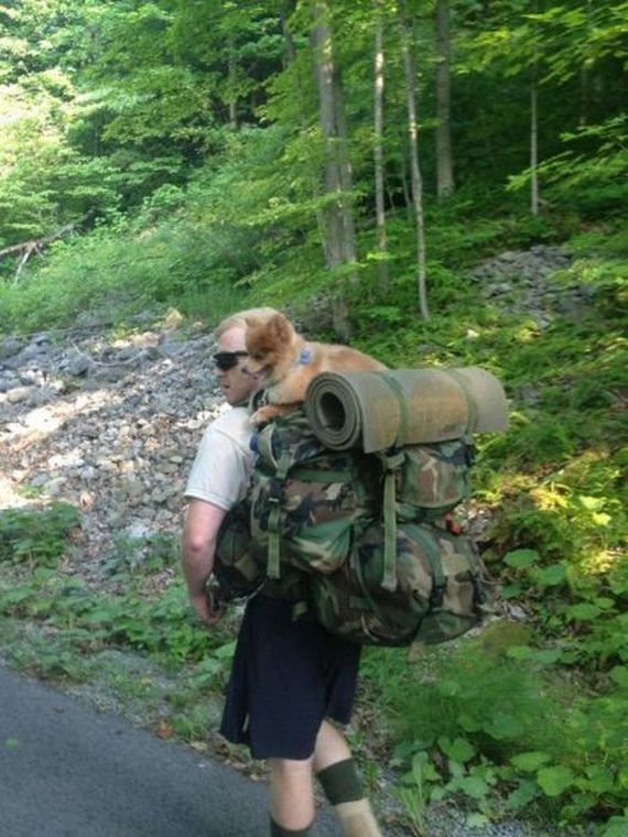 funny-pictures-485