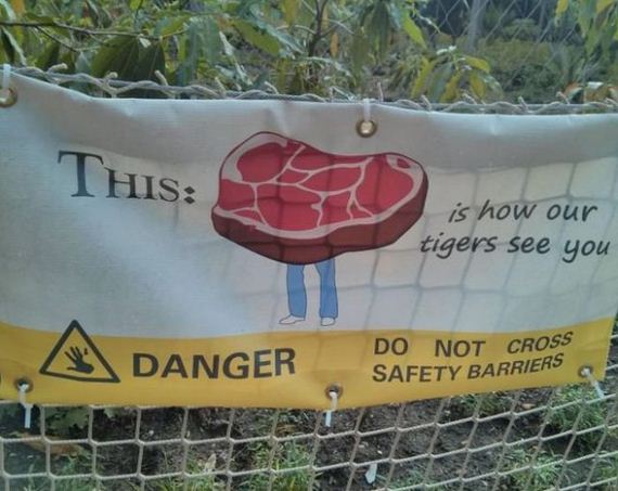 funny-pictures-485