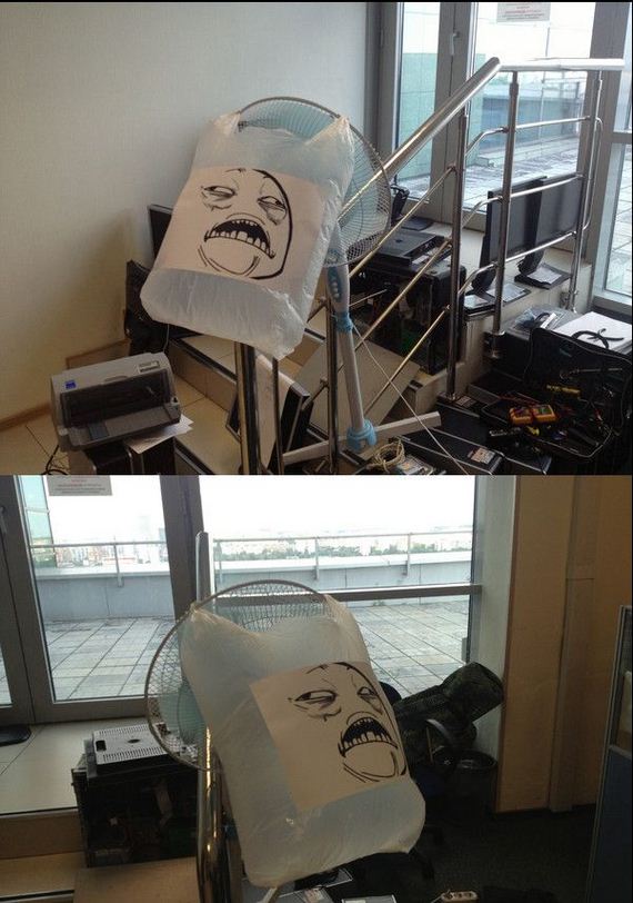 funny-pictures-485