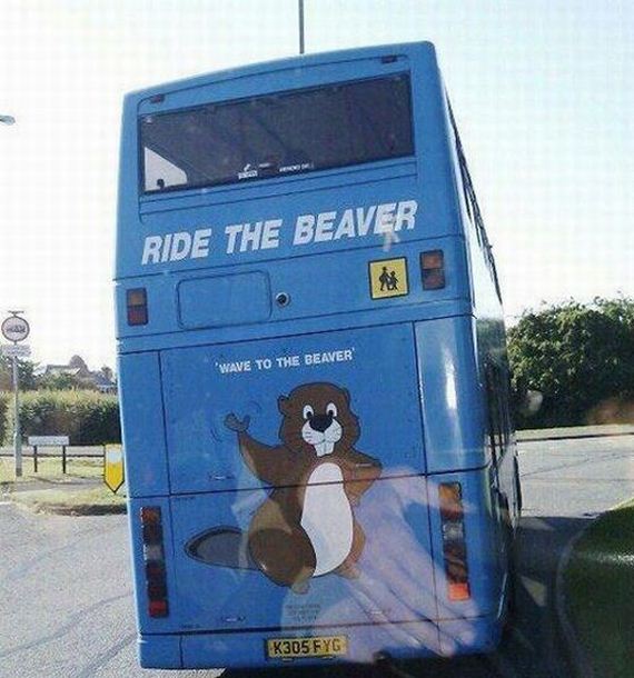 funny-pictures-485