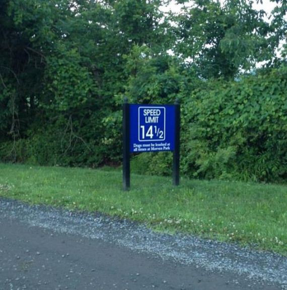 funny-pictures-485