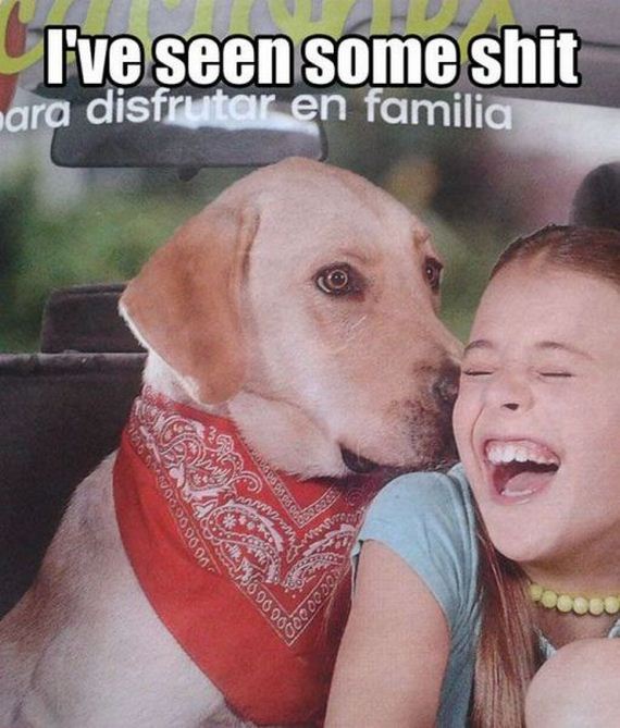 funny-pictures-485