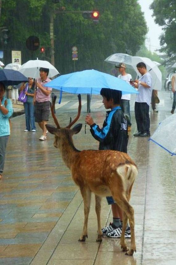 funny-pictures-486