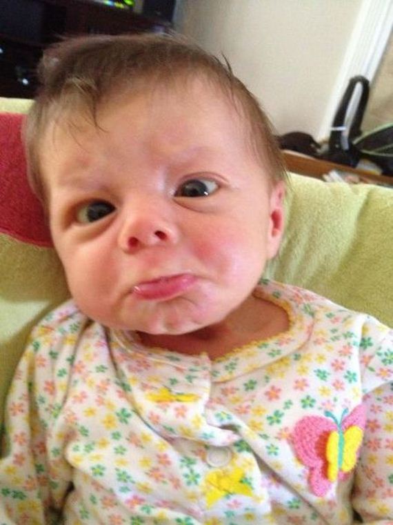 funny-pictures-486