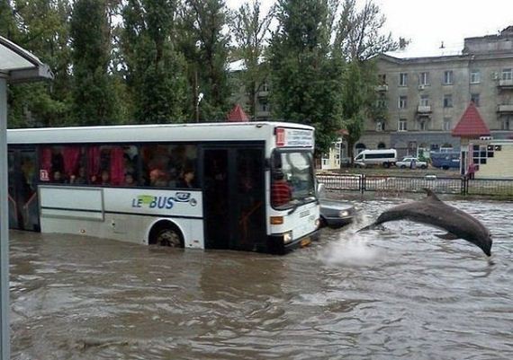 funny-pictures-486