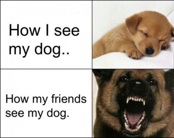 funny-pictures-487