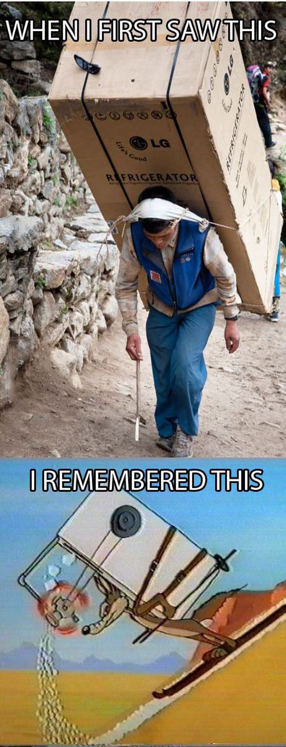 funny-pictures-487