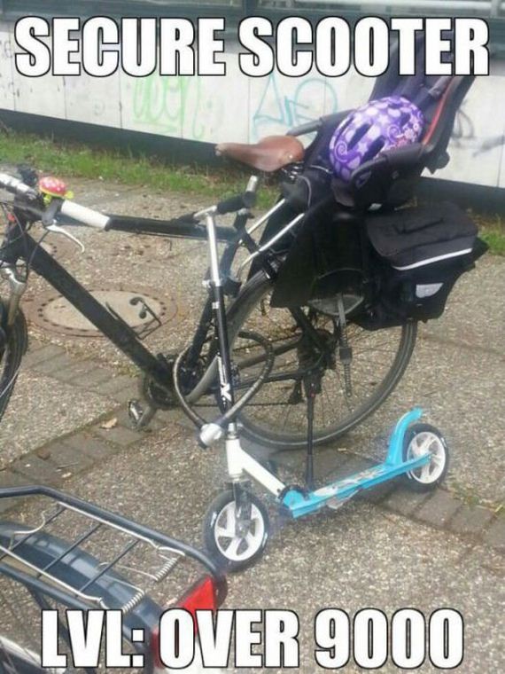 funny-pictures-487