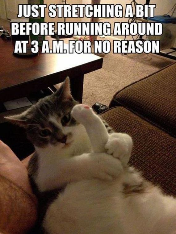 funny-pictures-487