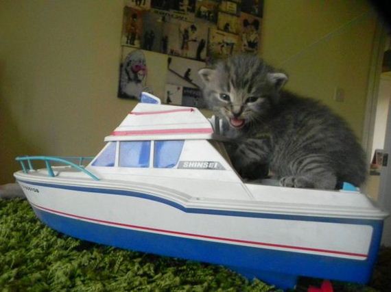 funny-pictures-487