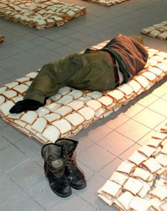 funny-pictures-487