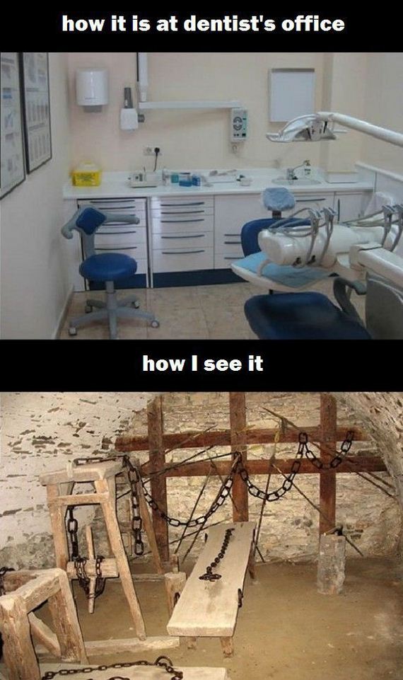funny-pictures-487