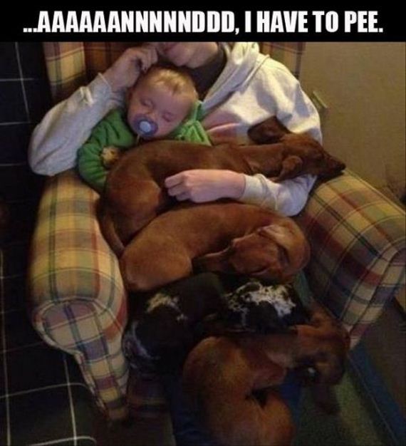 funny-pictures-488