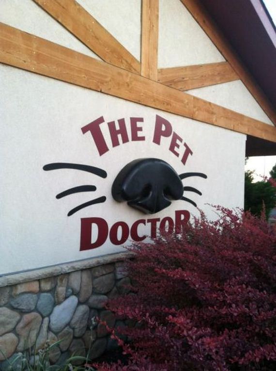 funny-pictures-488